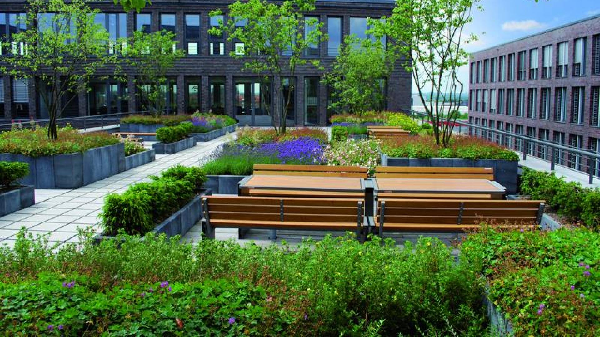 Optigrün international AG 