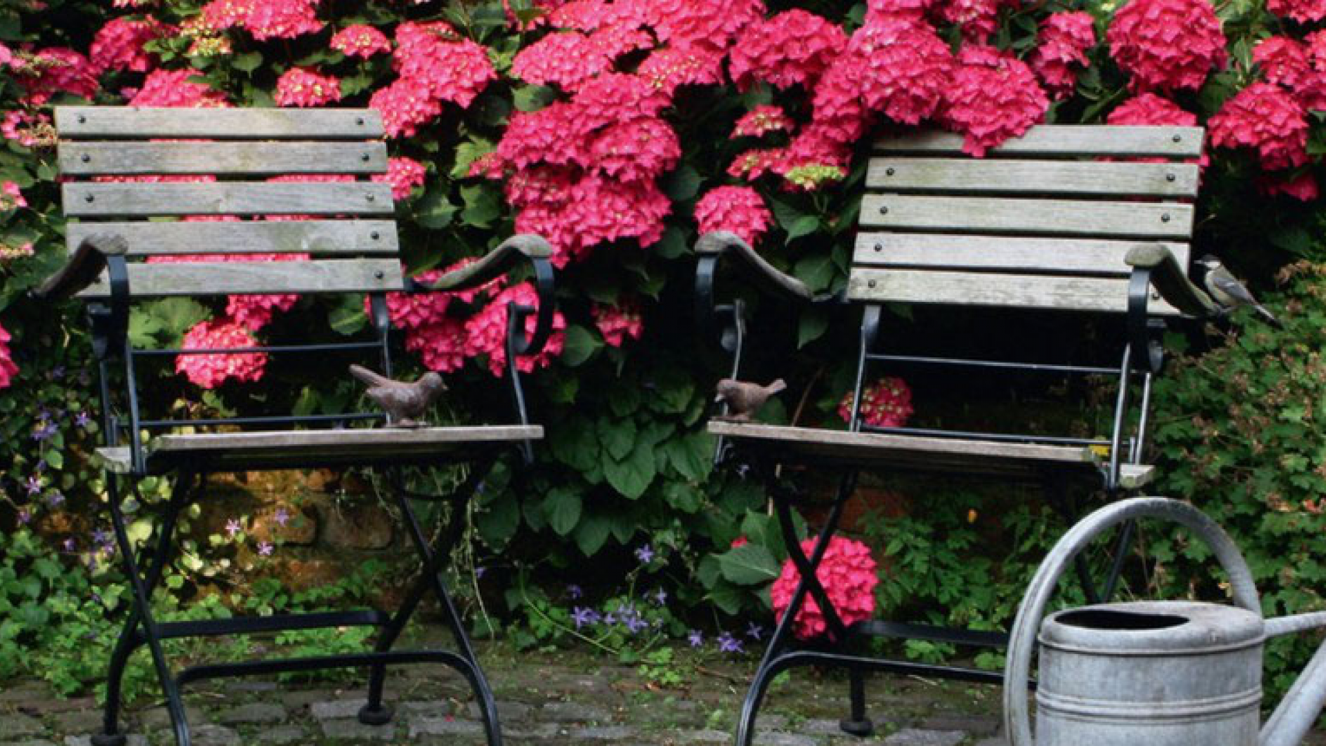 Landschaftsbau Schüler