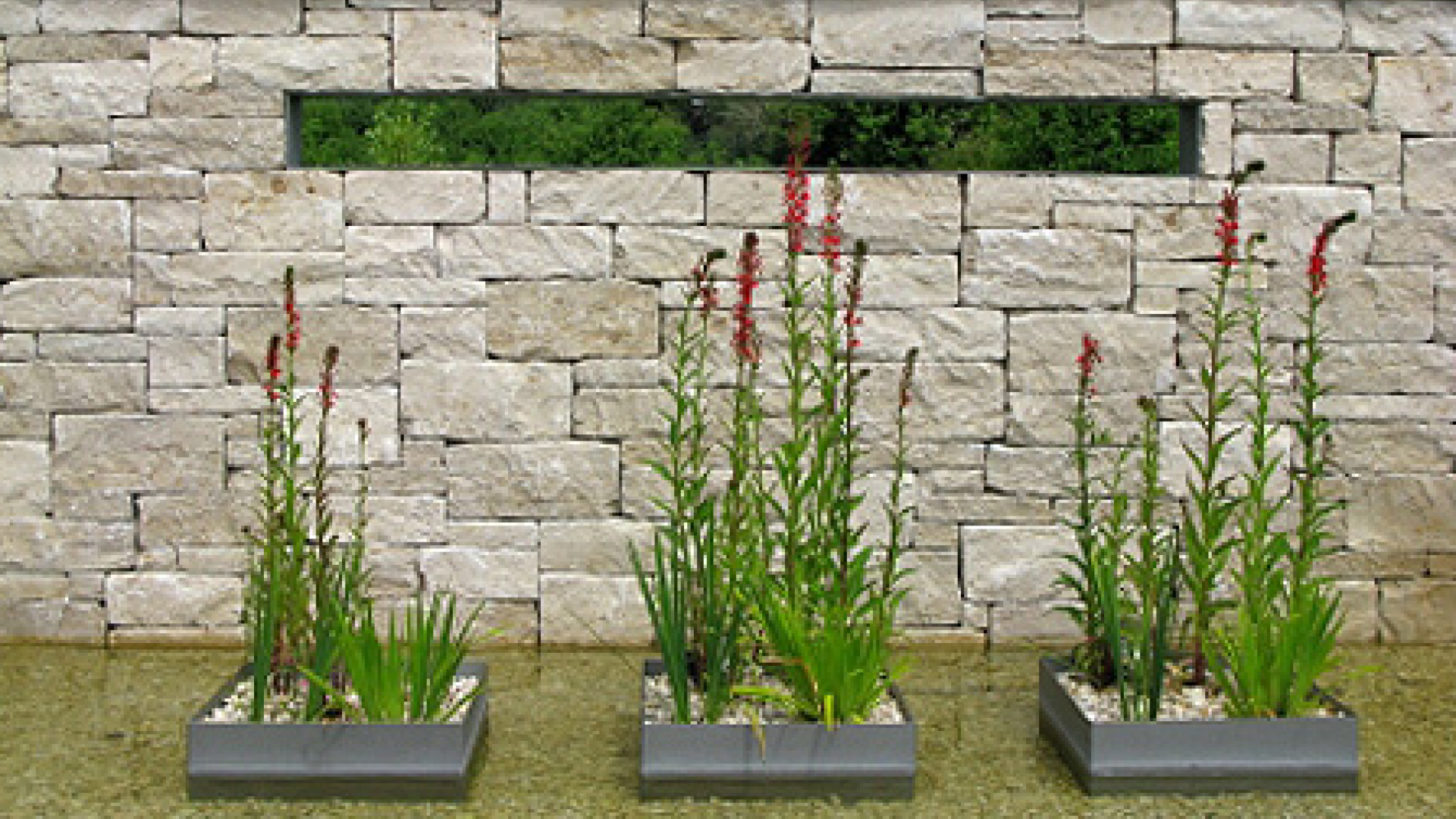 M. Dirks GmbH & Co.KG