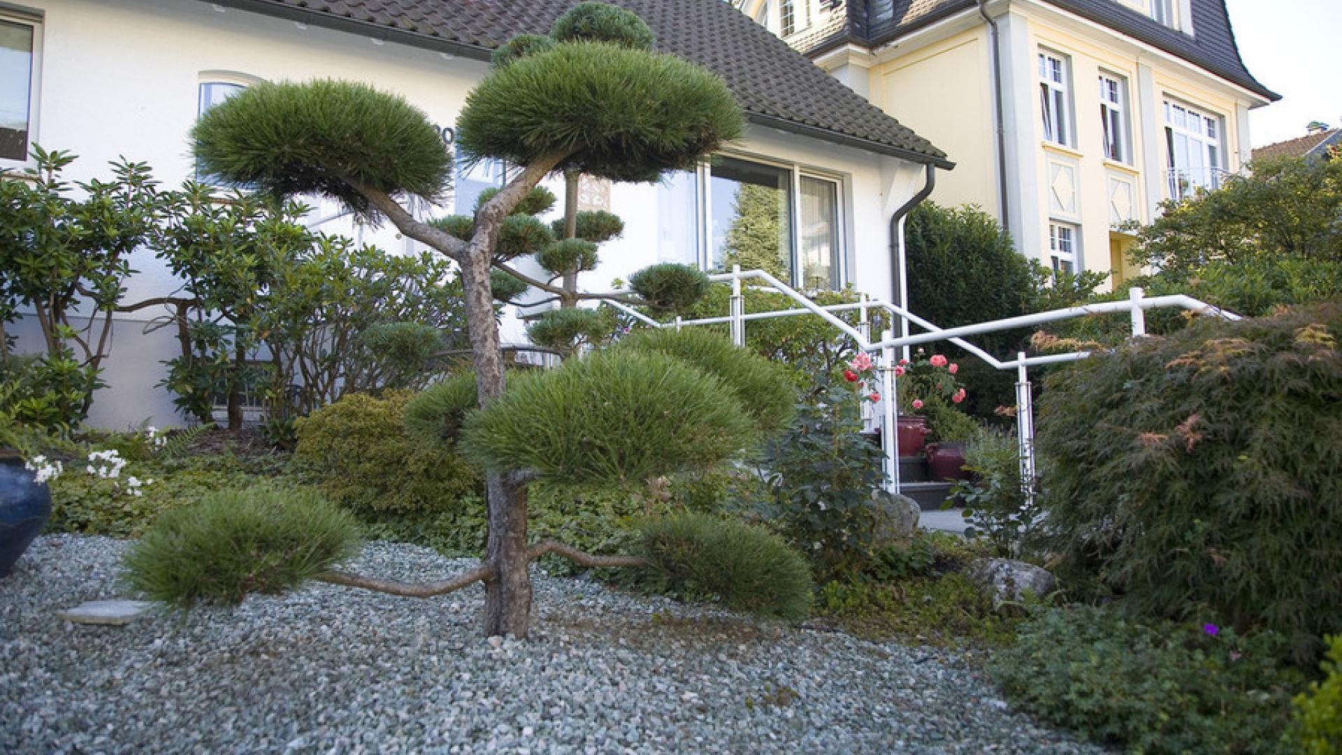 OWCA Garten- und Landschaftsbau