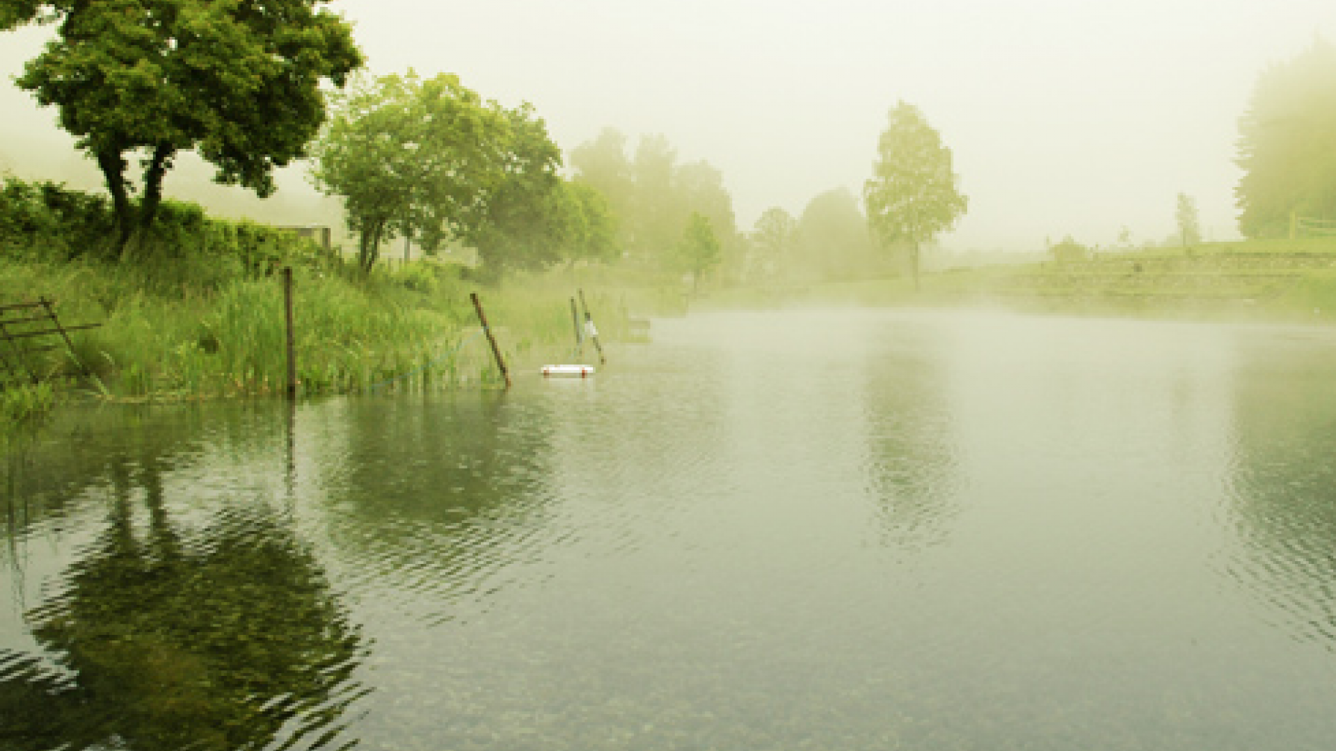 DANE Landschaftsarchitektur BDLA