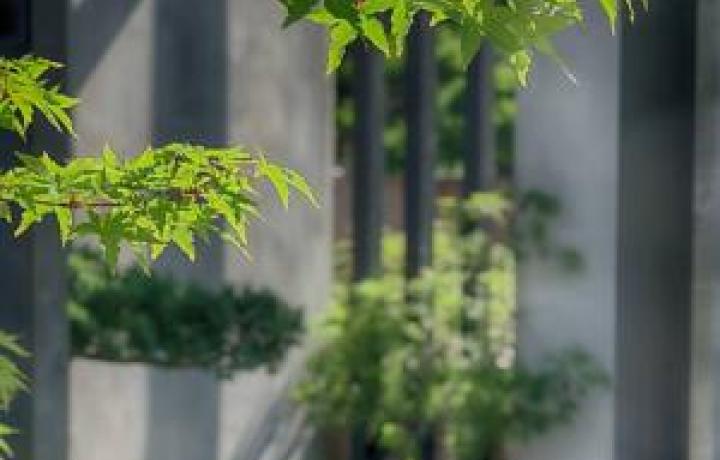 BAUMSCHULE LORBERG -JAPANISCHER SCHAUGARTEN