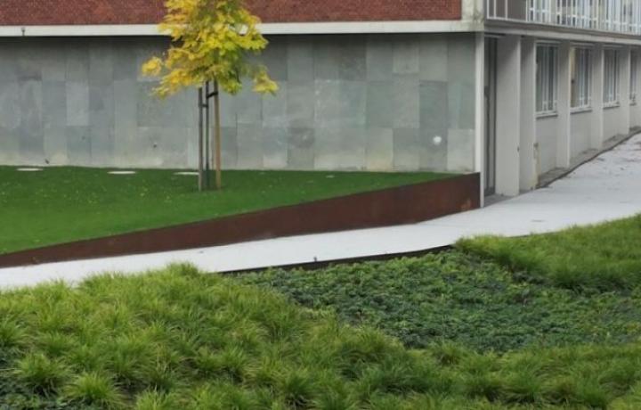 Freianlagen Exzellenzcluster Religion