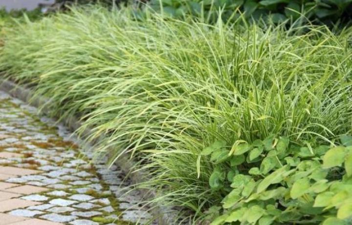 Mehrgenerationenwohnhaus "Seeresidenz"