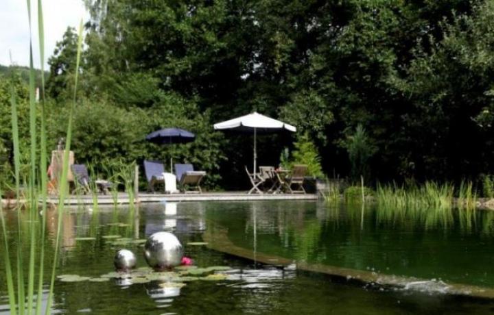 BV Rieneck, Swimming Teich