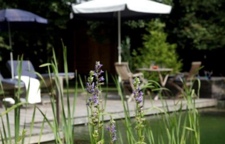 BV Rieneck, Swimming Teich