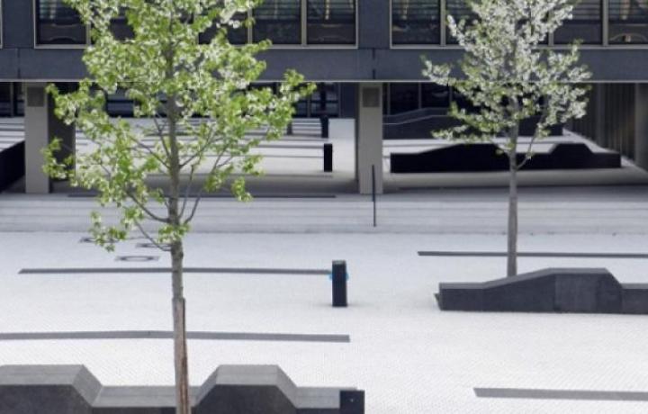 Staatliche Realschule