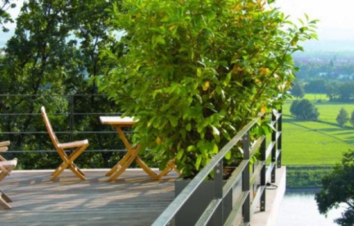 Hausgarten Familie D.