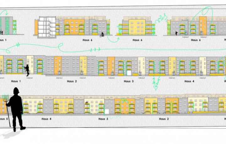 FASSADENGRÜN TELTOW - FASSADENBEGRÜNUNG