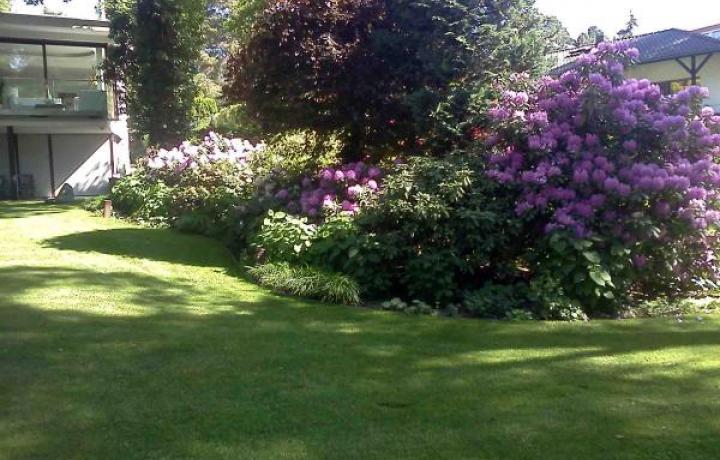 DAHLEM II - EIN MODERNER GARTEN  PRIVATGARTEN