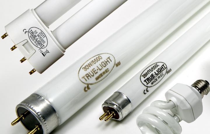 True-Light International GmbH