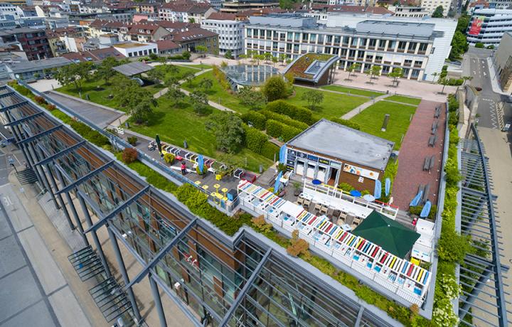 Optigrün international AG