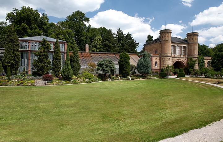 Botanischer Garten, Karlsruhe