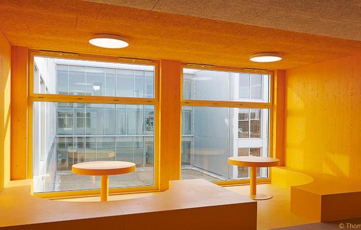 Fibro-Kustik Platten „Barcelona“ mit superfeiner Wolle – Sekundarschule Berlin-Mahlsdorf